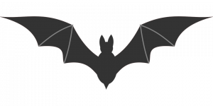 bat-895270_960_720-1