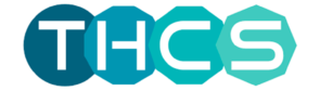 Logos_instituciones_thcs_joint_transnational_call_2023-768x84-1-e1761334318542