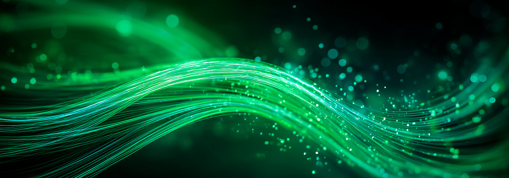 2026.03_blossom_web-2