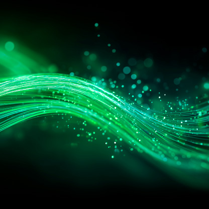 2026.03_blossom_web_portada