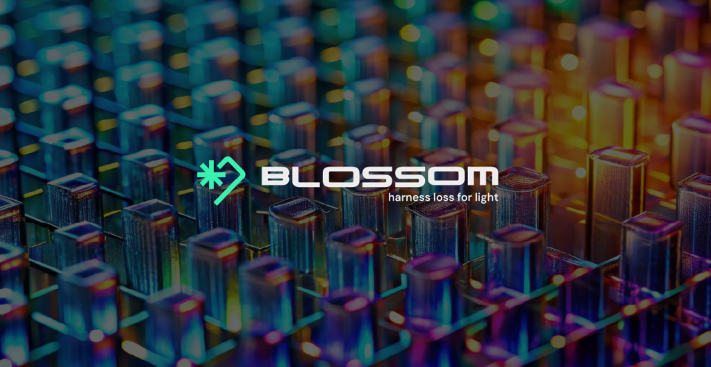 Blossom_web-1